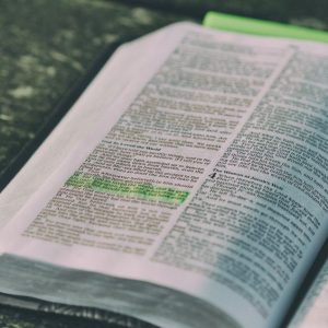 La Suficiencia De La Palabra