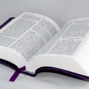 reflexion (9) La Escritura Inspirada Por Dios