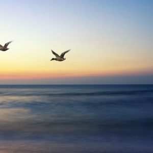 reflexion (11) Ser Espiritual
