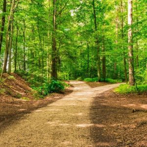 reflexion (4) Los Limites