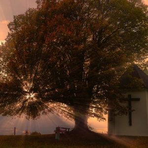 reflexion (9) Dios Hará