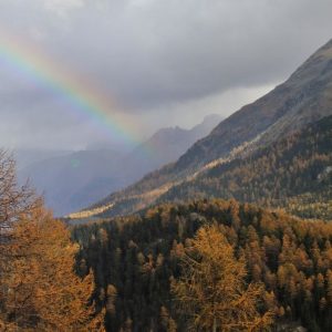 reflexion (42) Consolación
