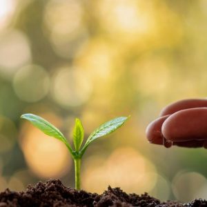 Crecer es Aprender