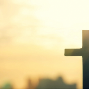 FA59CFE3-E578-40BC-A13F-54212C7571F4 Ver a Dios