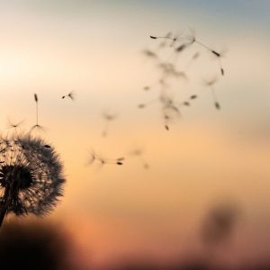 fear (48) Es Tiempo de Crecer